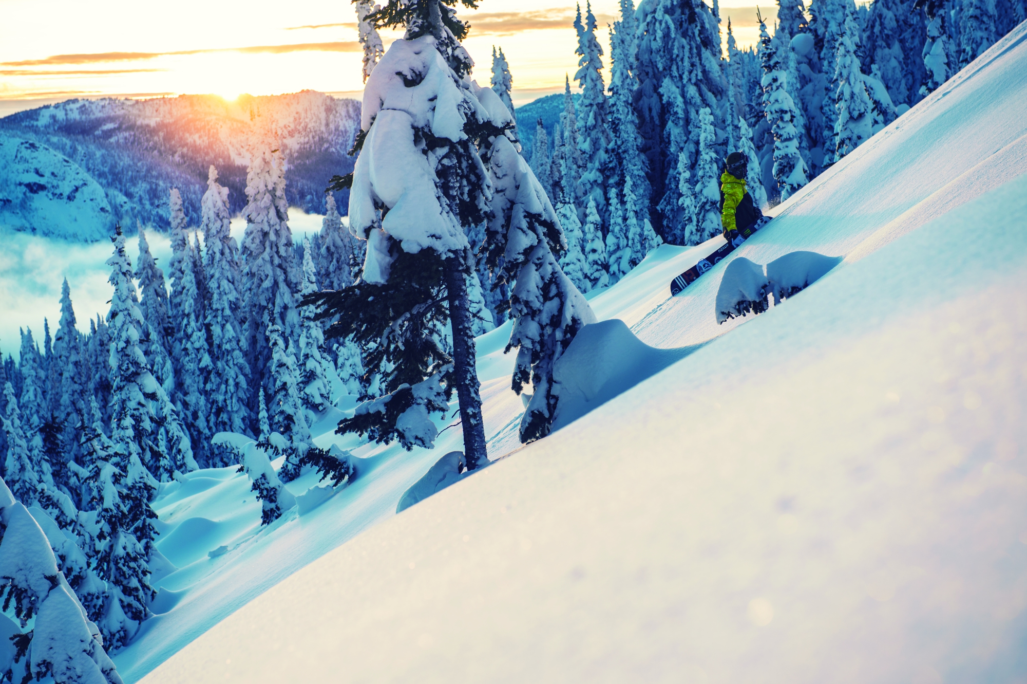 13_20160125_p-darcybacha_s-kazukokubo_l-revelstokebc_034_kato