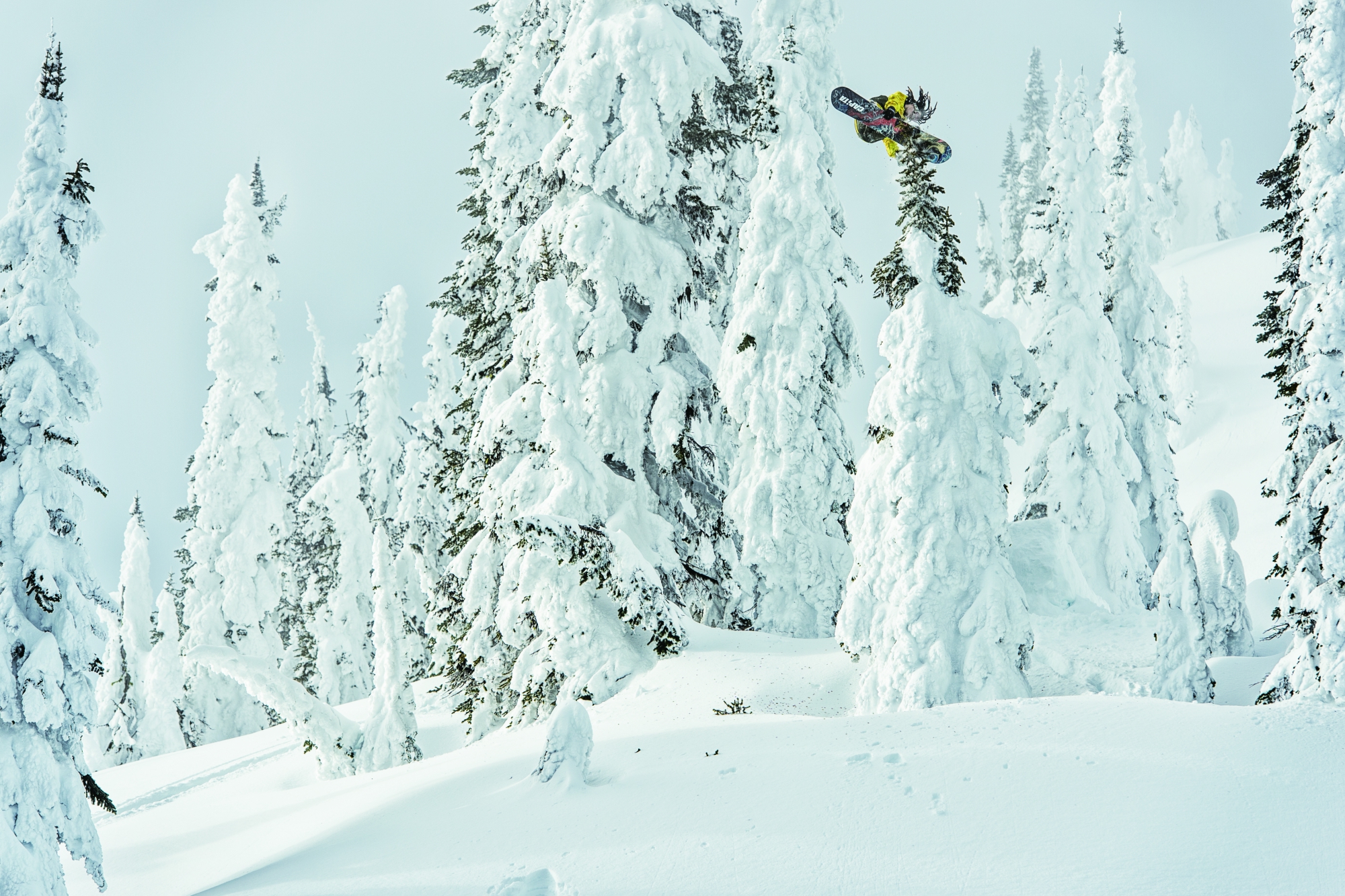 14_20160125_p-darcybacha_s-kazukokubo_l-revelstokebc_028