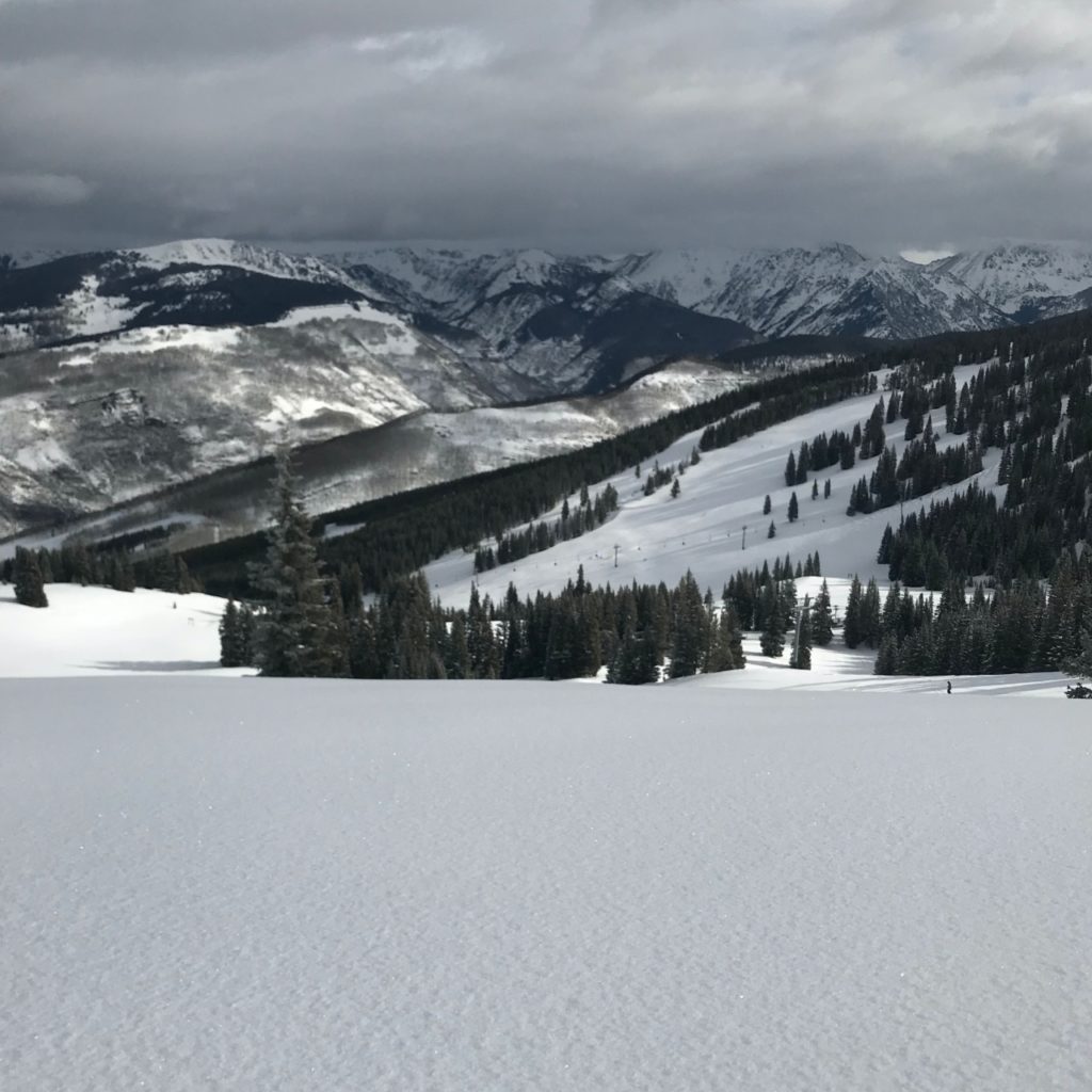 VailPowderDay