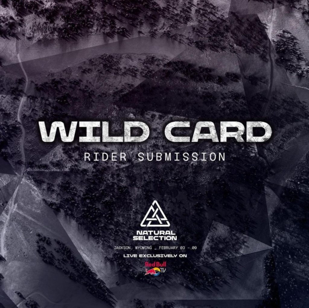WildCard