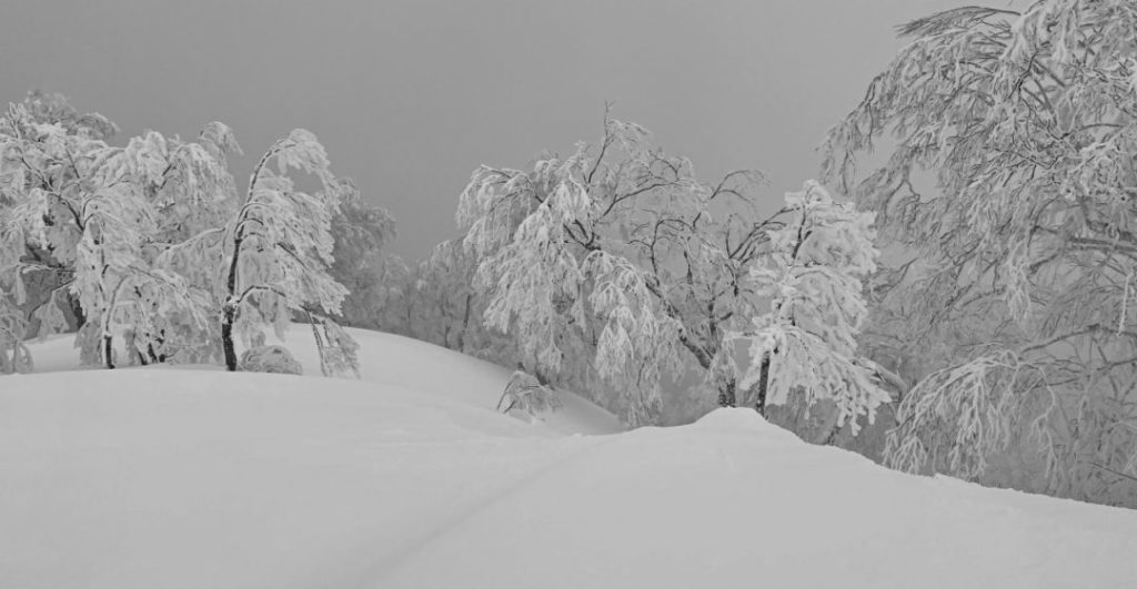 NaganoBackcountry-1080x560