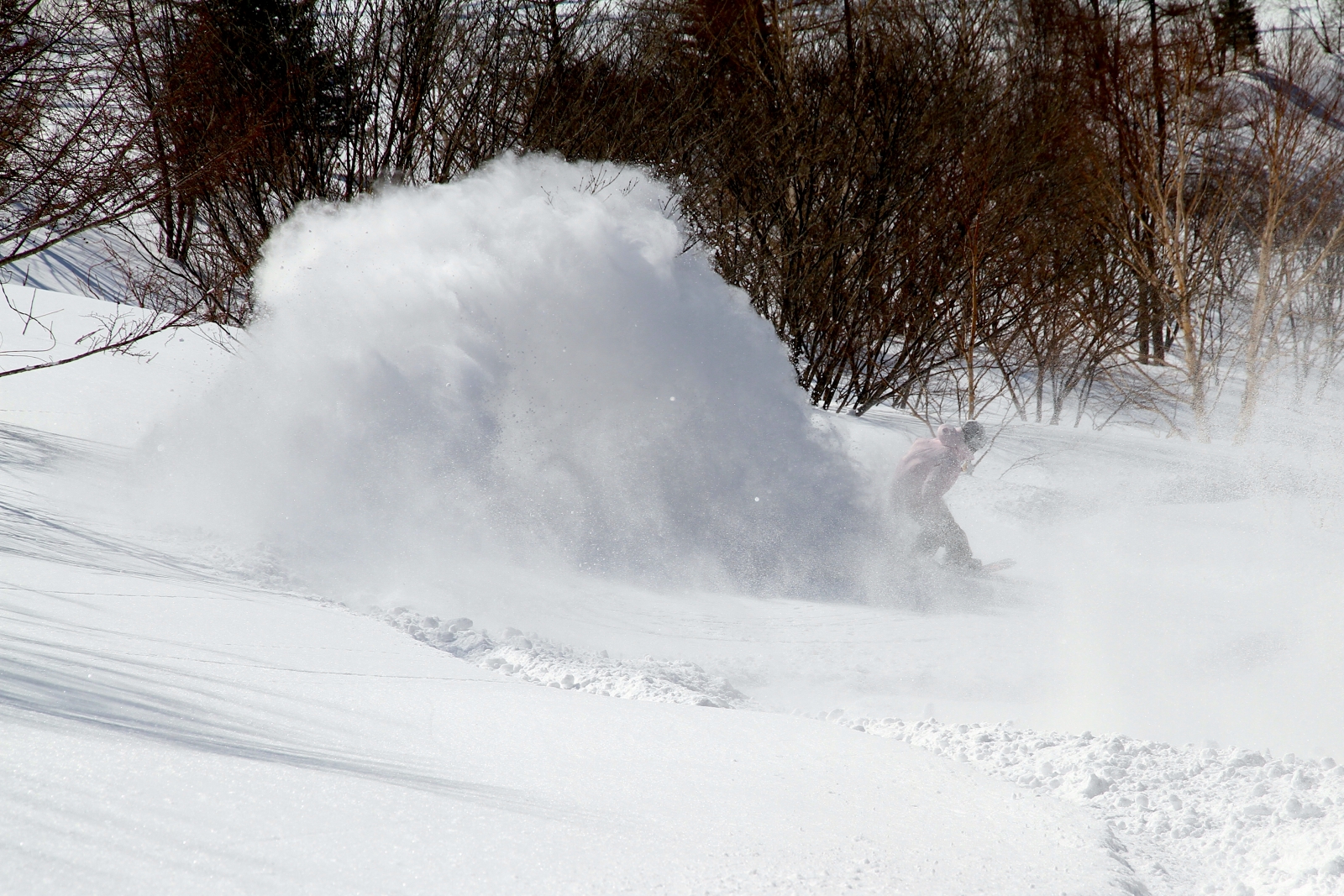 DaisukeNogami_PowderSpray_2