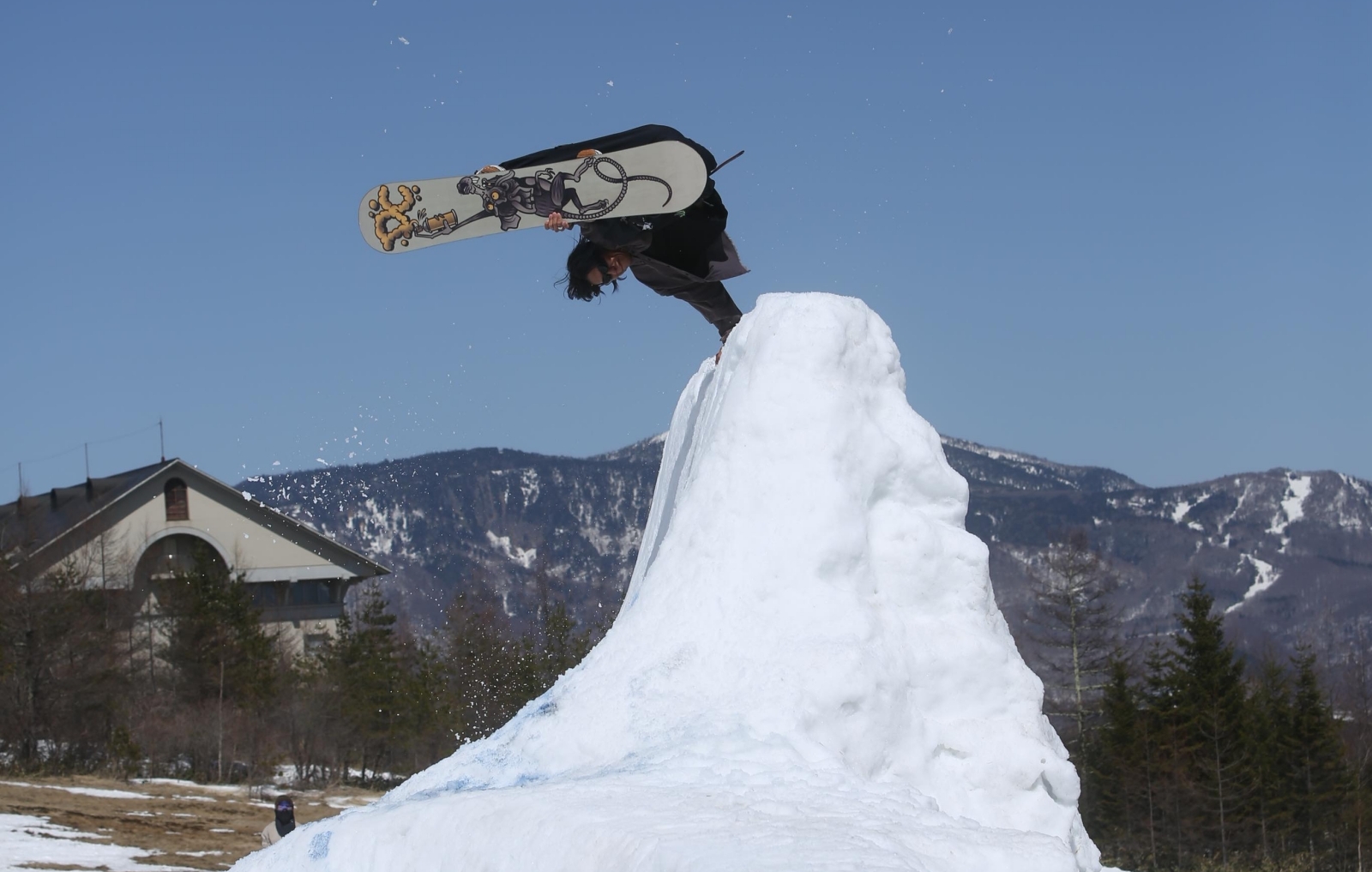 RyoAizawa_HandPlant